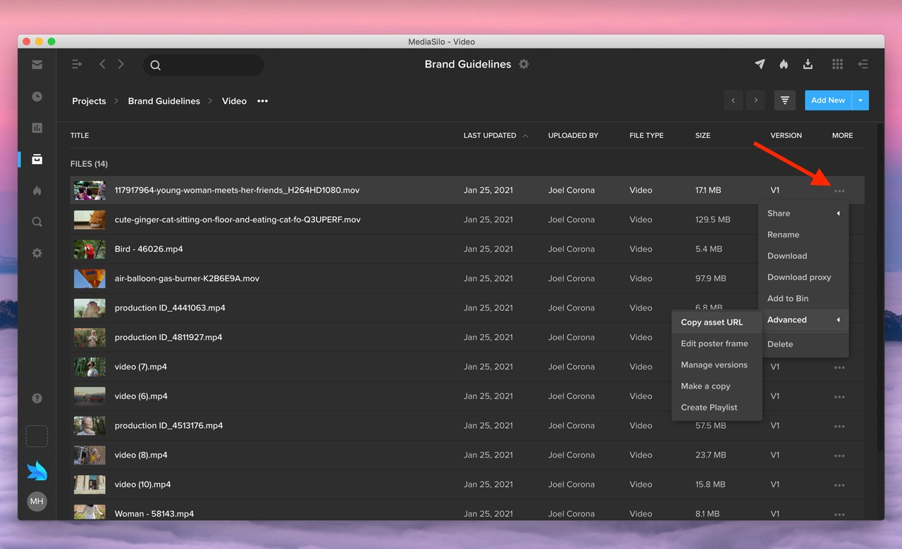 9-Asset_Options_Menu.jpg