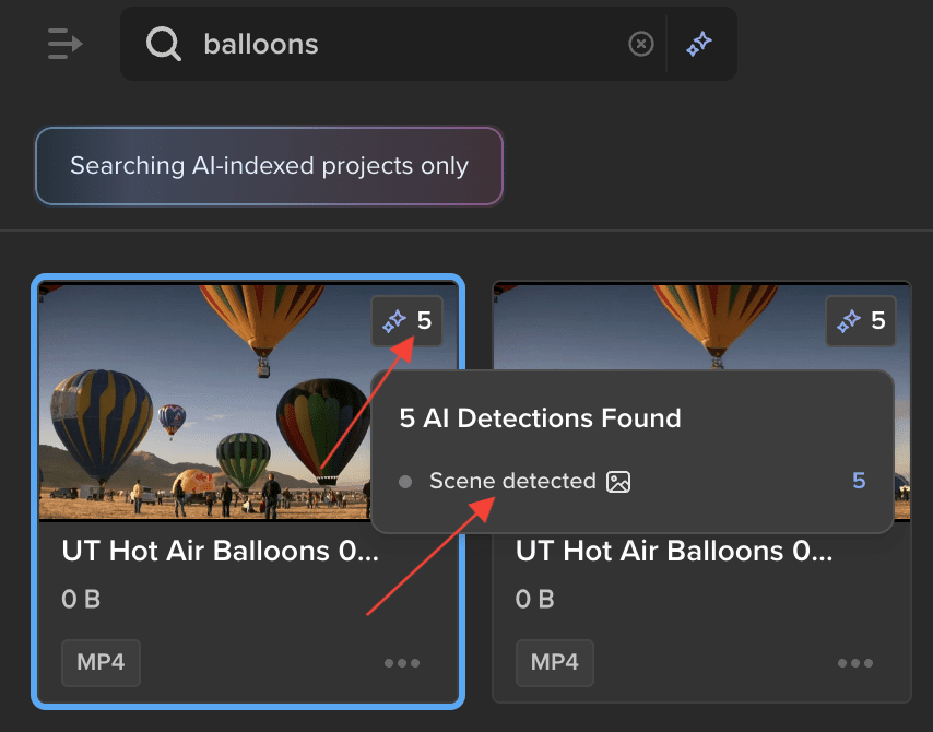 searchdectionsshown.png